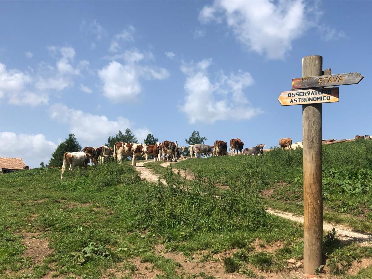 B&B Le Stagioni Di Stava 테세로 외부 사진